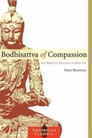 Image of bodhisattva of compassion the mystical tradition of kuan yin