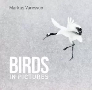 Image of Birds in Pictures by Markus Varesvuo