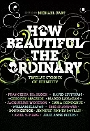 Image of how beautiful the ordinary twelve stories of identity