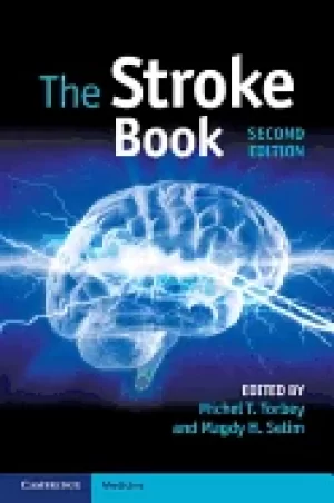 Image of stroke book