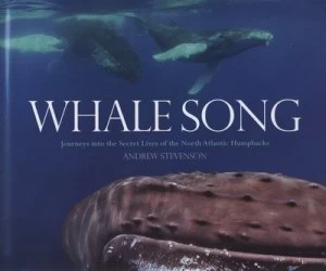 Image of Whale Song by Andrew Stevenson Hardback