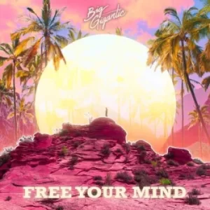 Image of Free Your Mind by Big Gigantic CD Album