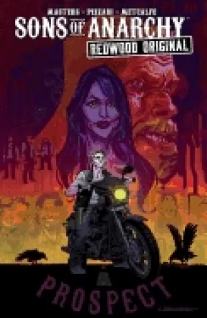 Image of sons of anarchy redwood original vol 1 prospect blues
