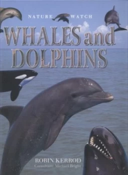 Image of Whales and Dolphins by Robin Kerrod Hardback