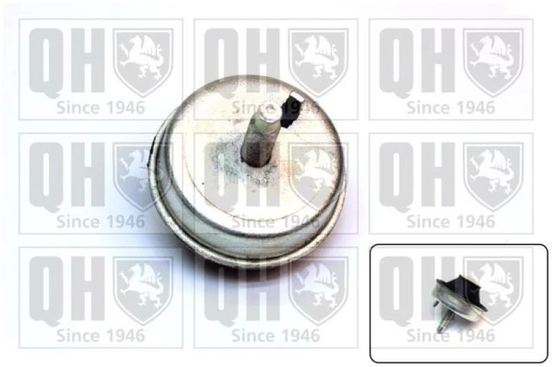 Image of QUINTON HAZELL Engine mount QUINTON HAZELL EM4480