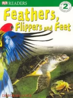Image of Feathers flippers and feet by DK