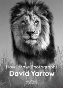 Image of David Yarrow : How I Make Photographs
