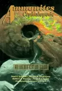 Image of ammonites and the other cephalopods of the pierre seaway identification gui