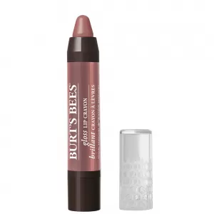 Image of Burt's Bees Gloss Lip Crayon Outback Oasis