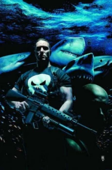 Image of The Punisher by Garth Ennis Hardback