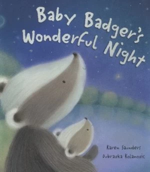 Image of Baby Badgers Wonderful Night by Karen Saunders and Dubravka Kolanovic Book