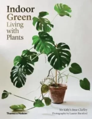 Image of Indoor green by Mr Kitly's Bree Claffey