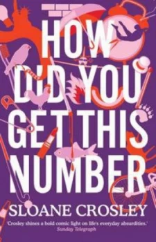Image of How Did You Get This Number by Sloane Crosley Paperback