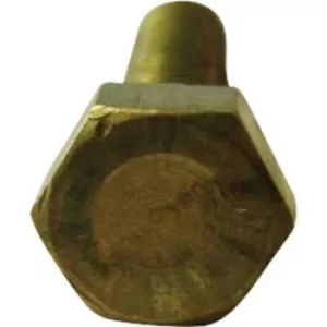 Image of TOOLCRAFT 216291 Hexagon head screws M2 10 mm Hex head DIN 933 Brass 10 pc(s)