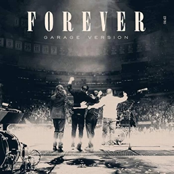 Image of MUMFORD & SONS - Forever Vinyl