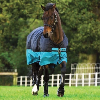 Image of Mio Turnout Medium - Black/Turq