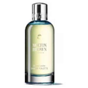 image of Molton Brown Russian Leather Eau de Toilette Unisex 100ml