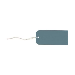 Image of Strung Tags 120mm x 60mm Blue 1 x Pack of 1000