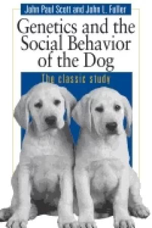 Image of genetics and the social behaviour of the dog