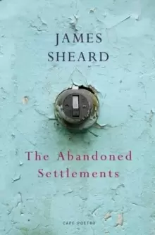 Image of The Abandoned Settlements