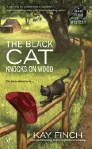 Image of black cat knocks on wood
