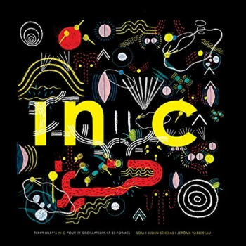 Image of Julien Sénélas And Jérôme Vassereau - Lp-Julien Senelas/Jerome Vassereau-Terry Rileys Vinyl