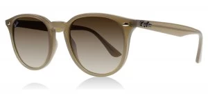 image of Ray-Ban 4259 Sunglasses Brown 616613 51mm