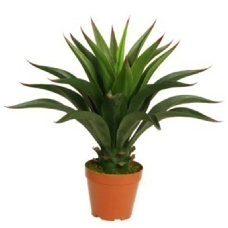 Image of N/A 60cm Deluxe Yukka Artificial