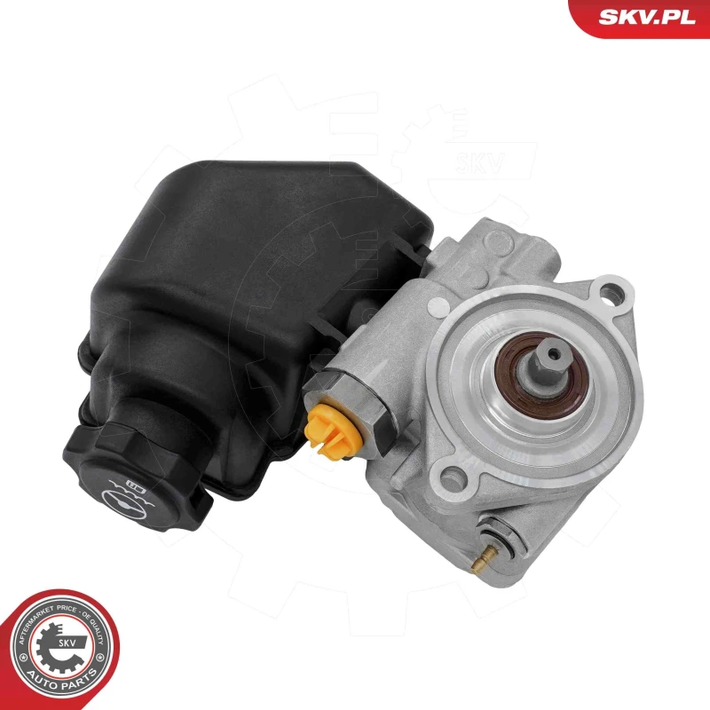 Image of ESEN SKV Power steering pump ESEN SKV 10SKV502