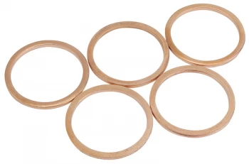 Image of Draper Spare Washer M20 for 24014 5541