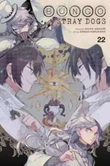 Image of Bungo Stray Dogs, Vol. 22