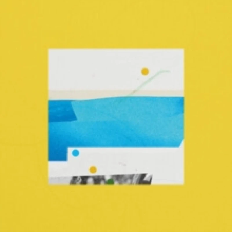 Image of Swells Vinyl