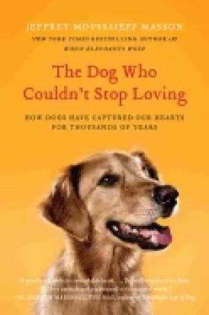 Image of dog who couldnt stop loving how dogs have captured our hearts for thousands