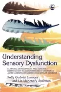 Image of understanding sensory dysfunction learning development and sensory dysfunct