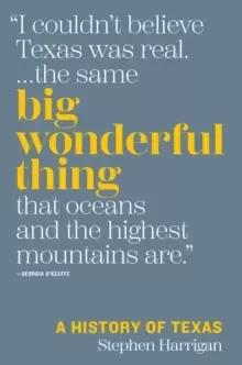 Image of Big Wonderful Thing : A History of Texas