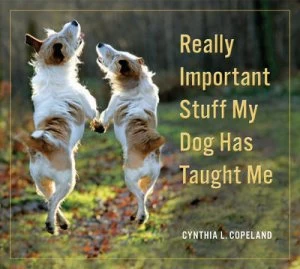 Image of Really Important Stuff My Dog Has Taught Me by Cynthia L. Copeland Paperback