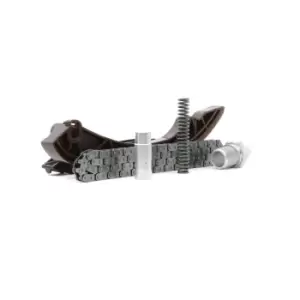 Image of RIDEX Timing Chain Kit 1389T0023 BMW,3 Limousine (E46),5 Limousine (E60),5 Touring (E61),5 Limousine (E39),3 Touring (E46),3 Coupe (E46),X3 (E83)