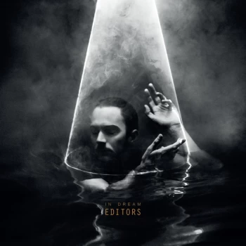 Image of Editors - In Dream Clear Vinyl