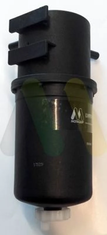 Image of MOTAQUIP Fuel filter MOTAQUIP LVFF742