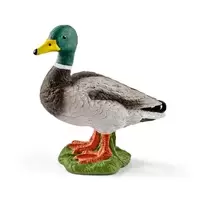 Image of Schleich Farm Life 13824 - 3 yr(s) - Boy/Girl - Multicolour - Plastic