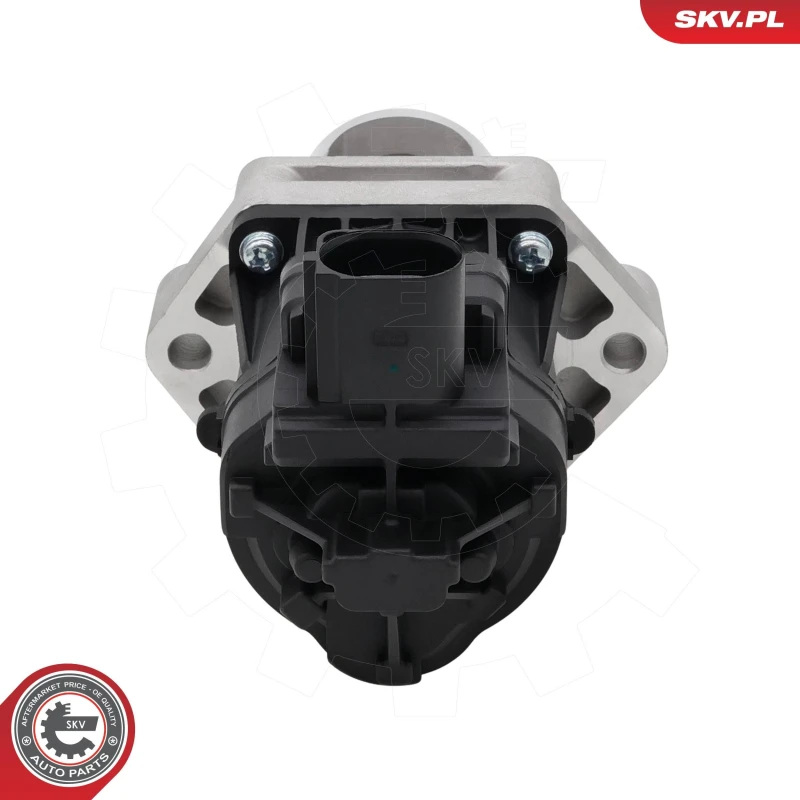 Image of ESEN SKV EGR valve ESEN SKV 14SKV296