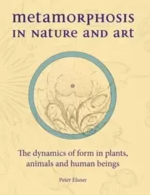 Image of Metamorphosis in Nature and Art : The Dynamics of Form in Plants, Animals and Human Beings