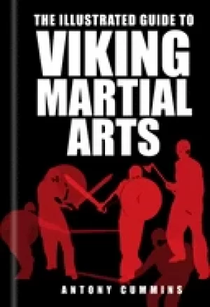 Image of illustrated guide to viking martial arts