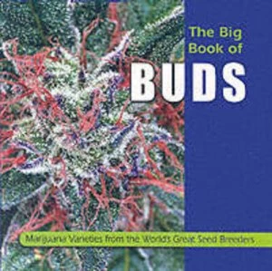 Image of The Big Book of Buds by Ed Rosenthal Paperback