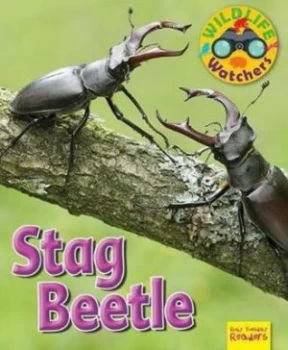 Image of Wildlife Watchers Stag Beetle 2017 by Ruth Owen Paperback