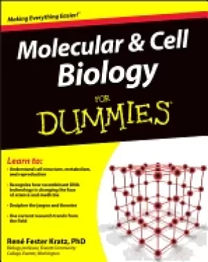 Image of molecular and cell biology for dummies