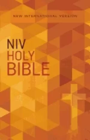 Image of niv holy bible