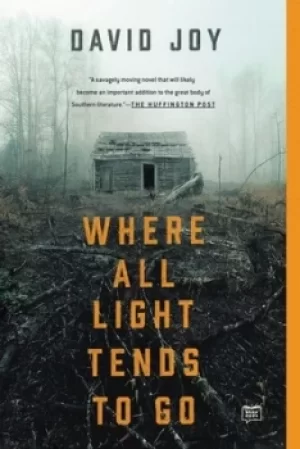 Image of Where all light tends to go by David Joy