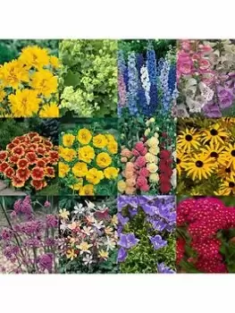 image of YouGarden Cottage Garden Perennials Plug Set 12pcs