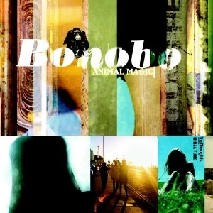 Image of Bonobo - Animal Magic Vinyl